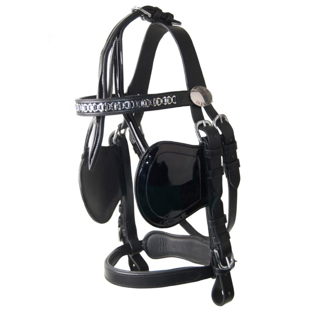 bridle patent leather ideal equestrian