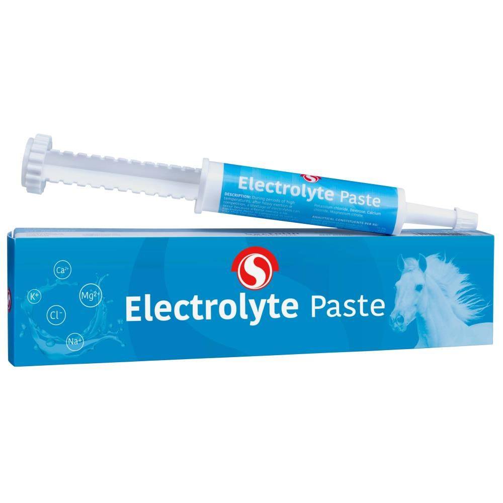 electrolytes paste