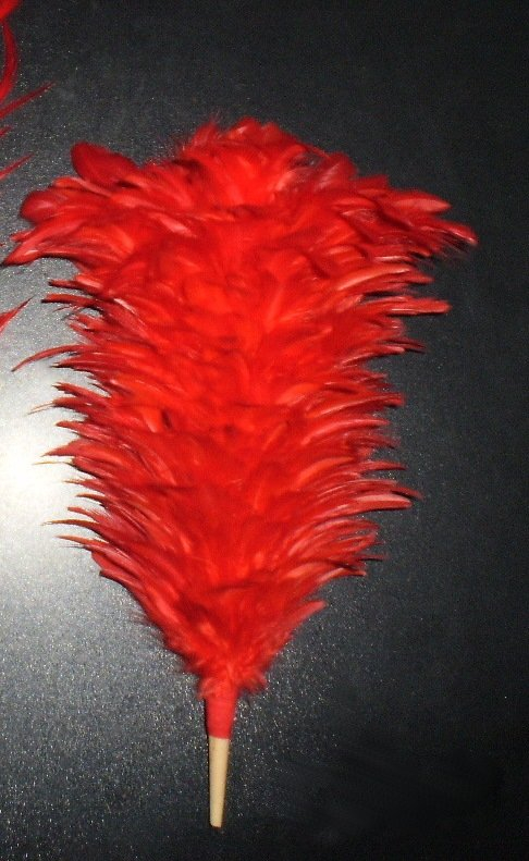 Feather plume luxury red