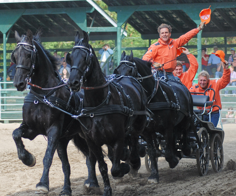 Heavy marathon, four-horse