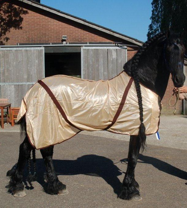 Fly rug very fine mesh and supple without neck or mask-0