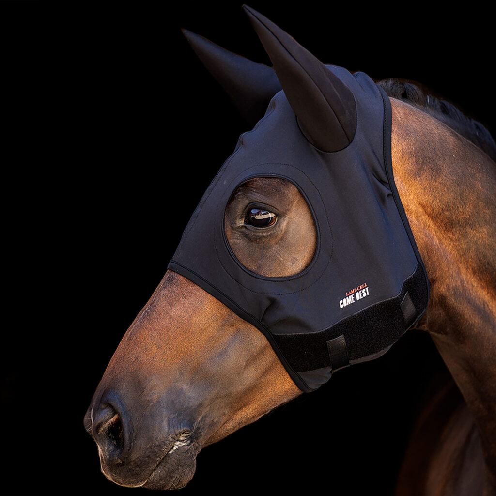 titanium ear muff for nervous horses